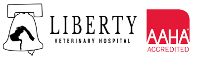 Liberty Logo