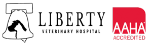 Liberty Logo